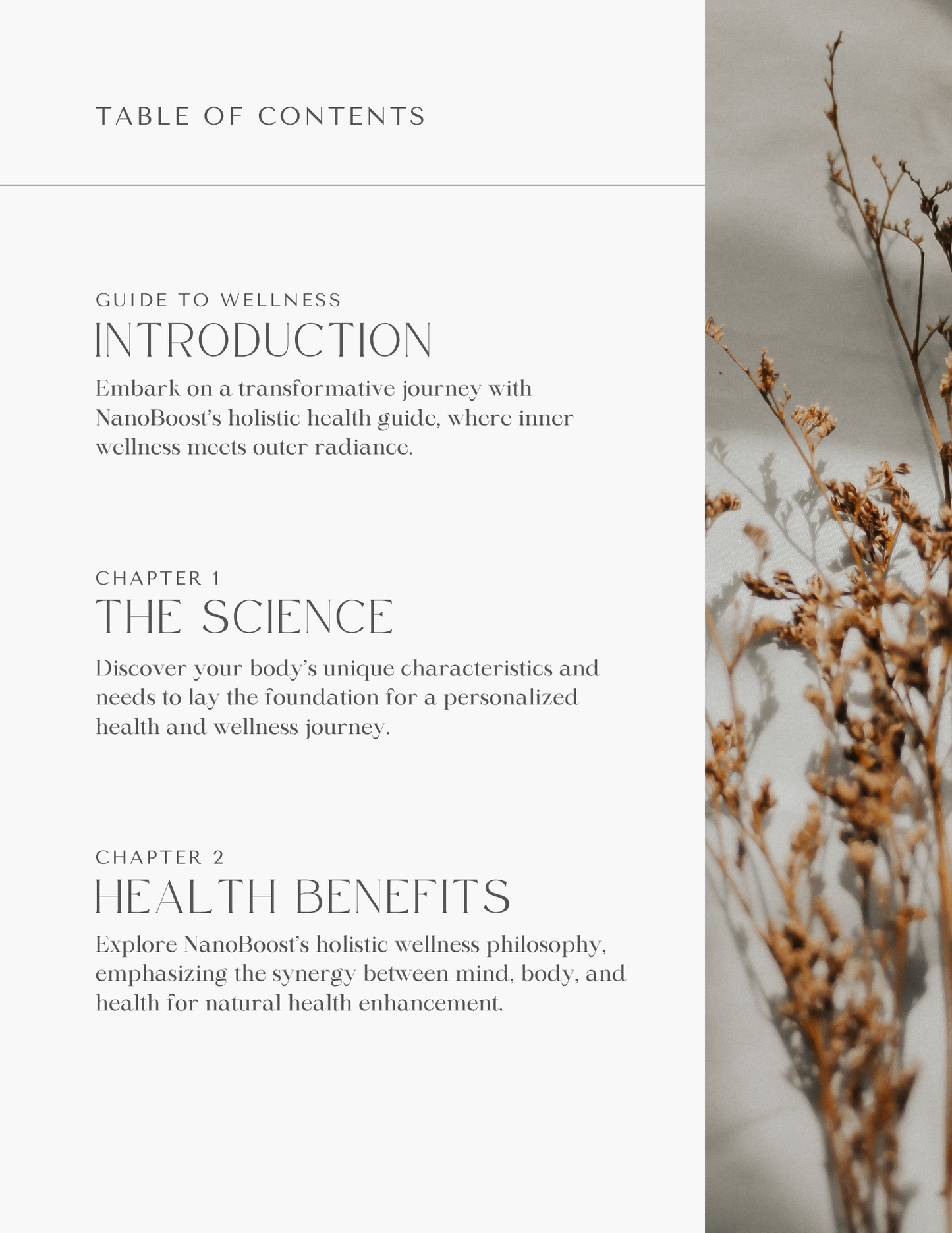 Health & Wellness: Energy eBook