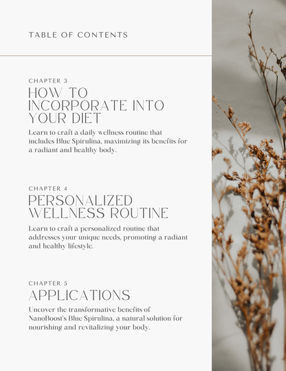 Health & Wellness: Energy eBook