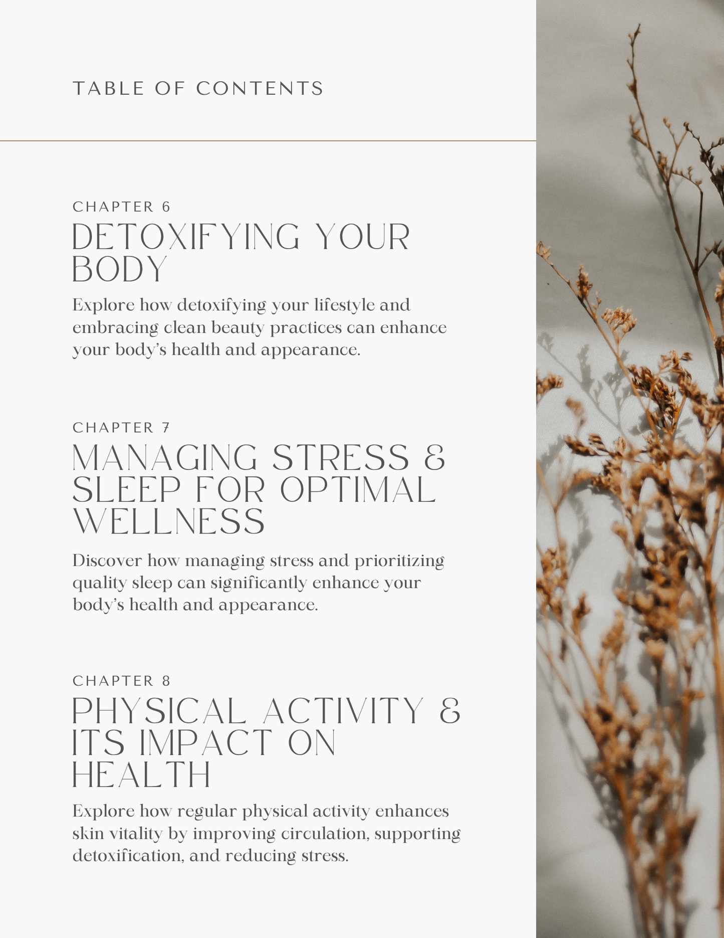 Health & Wellness: Energy eBook